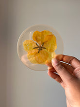Load image into Gallery viewer, Top-down view of a handmade resin coaster featuring a large yellow pansy flower, completely covering the surface. The flower’s vibrant yellow petals are perfectly preserved within the clear resin, reflecting natural light and showcasing its intricate details
