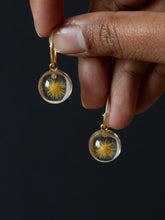 Load image into Gallery viewer, Dandelion Hoop Earrings -3
