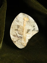 Load image into Gallery viewer, Bougainvillea Brooch Pin -2

