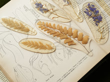 Load image into Gallery viewer, Fern Frond Friend Hand-sculpted Bookmark
