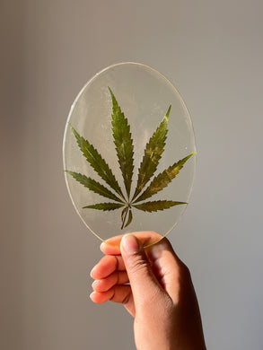 Oval resin coaster with a pressed hemp leaf, photographed in natural sunlight, showcasing its fine details and clarity, perfect for eco-conscious decor lovers