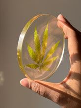 Load image into Gallery viewer, Minimalist round resin coaster showcasing a hemp leaf with fine details, preserved in a sleek, transparent finish
