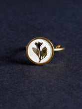 Load image into Gallery viewer, Galium Leaves Ring

