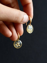 Load image into Gallery viewer, [RARE] Wild Himalayan Forget-Me-Not Flower Earrings -3
