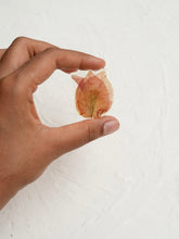 Load image into Gallery viewer, Bougainvillea Brooch Pin -10
