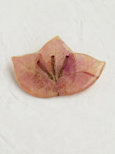 Load image into Gallery viewer, Bougainvillea Brooch Pin -14
