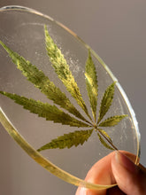 Load image into Gallery viewer, Zoomed-in shot of a pressed hemp leaf encased in crystal-clear resin, perfect as a functional yet artistic coaster
