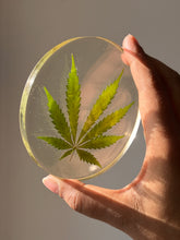 Load image into Gallery viewer, Unique handmade resin coaster featuring a bold hemp leaf design, perfect as a modern decorative accessory.
