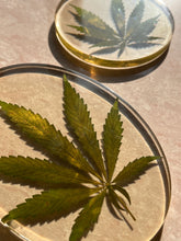 Load image into Gallery viewer, Close-up angle of ShopKuhoo oval resin hemp leaf coaster and round resin hemp leaf coaster, highlighting the preserved hemp leaf&#39;s unique texture in different forms, encased in clear resin for a one-of-a-kind design.
