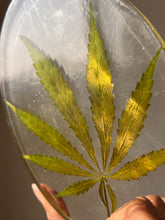 Load image into Gallery viewer, Close-up of the pressed hemp leaf within a clear resin coaster, emphasizing its natural texture and artistry.
