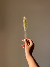 Load image into Gallery viewer, Grass Flower (As-is) Bookmark -1
