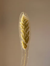 Load image into Gallery viewer, Grass Flower (As-is) Bookmark -1
