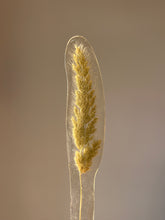 Load image into Gallery viewer, Grass Flower (As-is) Bookmark -2
