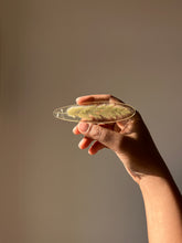 Load image into Gallery viewer, Grass Flower (As-is) Bookmark -3
