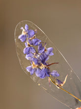 Load image into Gallery viewer, Larkspur Flower Stem (As-is) Bookmark -4

