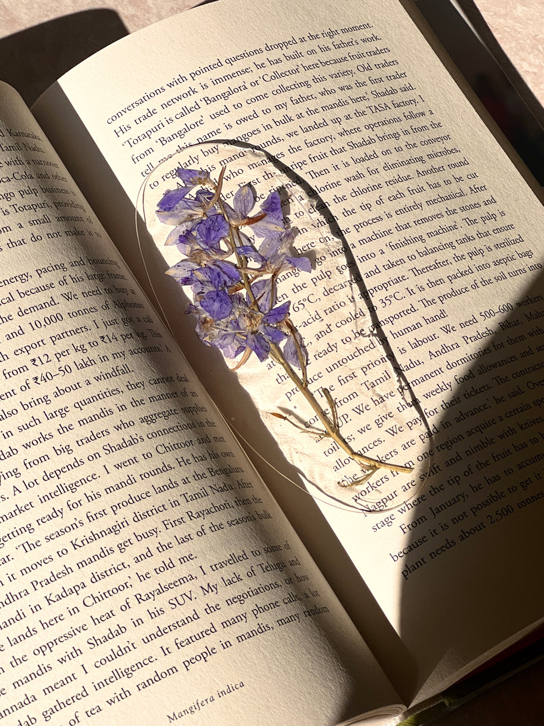 Larkspur Flower Stem (As-is) Bookmark -6