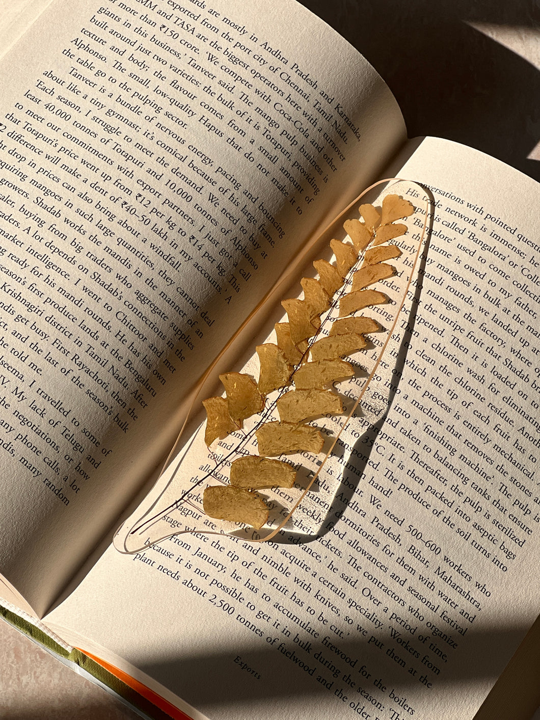 Fern Frond Frand Bookmark