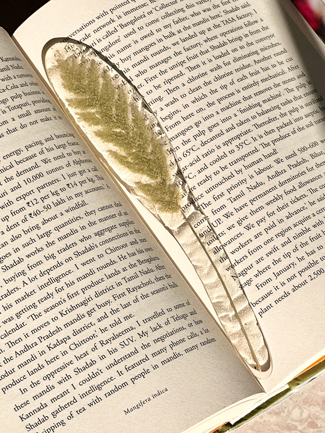 Grass Flower (As-is) Bookmark -1