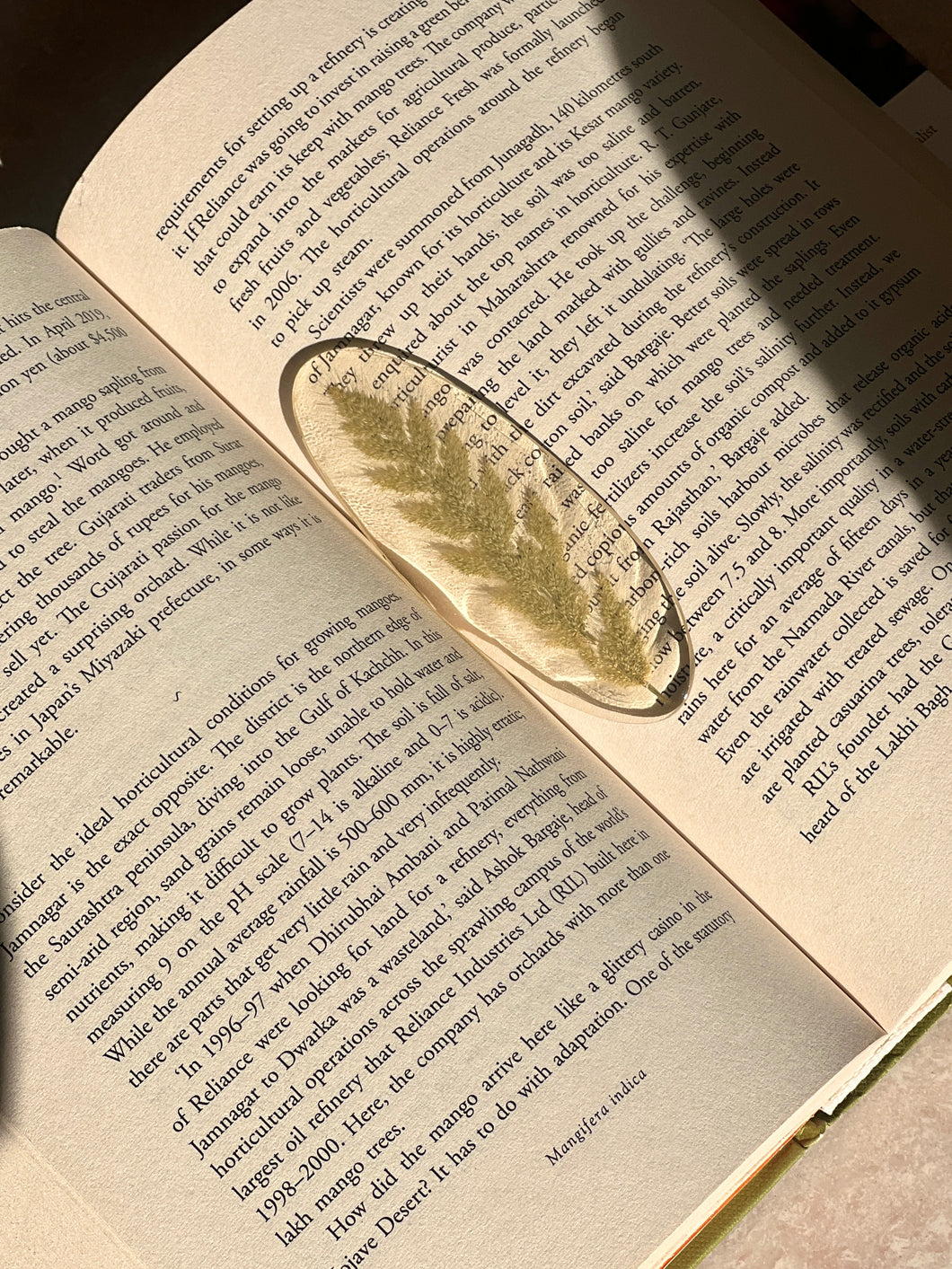 Grass Flower (As-is) Bookmark -4