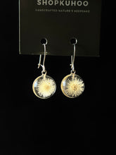 Load image into Gallery viewer, 925 Baby Dandelion Earrings -1
