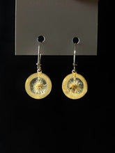 Load image into Gallery viewer, 925 Baby Dandelion Earrings -4
