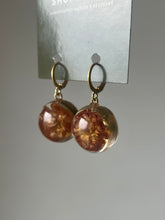 Load image into Gallery viewer, Indian Rose Earrings -5
