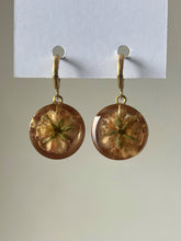 Load image into Gallery viewer, Indian Rose Earrings -5
