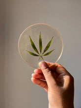 Load image into Gallery viewer, Hemp Leaf Coasters (Round) - 1 to 6
