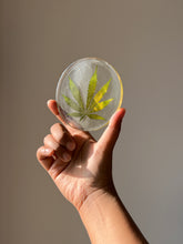 Load image into Gallery viewer, Close-up of a round resin coaster displaying a dried hemp leaf with sharp, detailed edges, creating a bold yet minimalist look.

