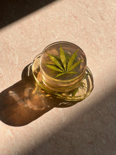 Load image into Gallery viewer, ShopKuhoo handmade resin coasters stacked together, featuring both round and oval shapes. The translucent coasters capture and refract sunlight, showcasing their natural beauty and intricate hemp leaf design.
