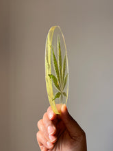 Load image into Gallery viewer, ShopKuhoo oval hemp leaf coaster, viewed from an angle to show the preserved hemp leaf and its fine details encased in durable, transparent resin
