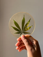 Load image into Gallery viewer, Round resin coaster featuring a vibrant pressed hemp leaf, held against soft natural light, showcasing its intricate details.
