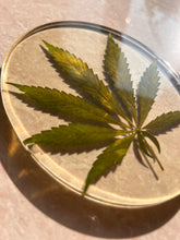 Load image into Gallery viewer, Close-up angle of ShopKuhoo oval resin hemp leaf coaster, highlighting the preserved hemp leaf&#39;s unique texture, encased in clear resin for a one-of-a-kind design.
