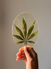 Load image into Gallery viewer, ShopKuhoo handmade oval resin hemp leaf coaster with intricate details, featuring a real hemp leaf preserved in crystal-clear resin for unique home decor.
