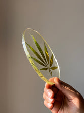 Load image into Gallery viewer, Close-up of the pressed hemp leaf within a clear resin coaster, emphasizing its natural texture and artistry
