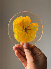 Load image into Gallery viewer, Macro shot of a pressed pansy flower within a handmade resin coaster. The intricate details of the petals and rich color gradients are clearly visible, with the glossy surface of the resin preserving the flower’s beauty
