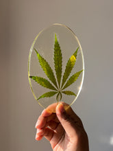 Load image into Gallery viewer, Side view of ShopKuhoo oval resin hemp leaf coaster, highlighting the natural texture of the preserved hemp leaf and the clarity of the resin.

