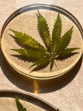 Load image into Gallery viewer, Round resin coaster with a dried hemp leaf, offering a blend of nature-inspired design and sleek craftsmanship.
