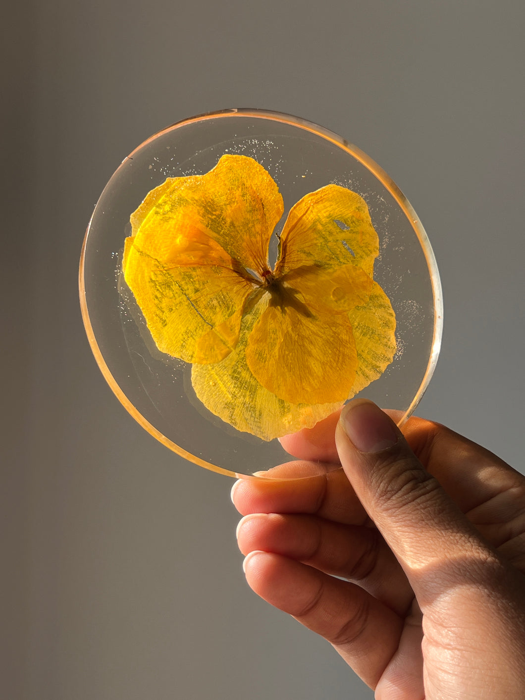 Handmade resin coaster featuring a vibrant pansy flower pressed in real resin, capturing its intricate petals and rich colors. The coaster is set against a softly blurred background, evoking a cozy and rustic atmosphere, with natural light highlighting the flower's delicate details.